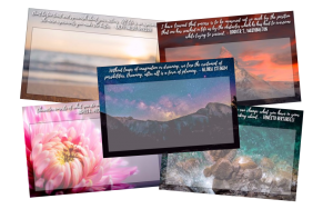 Mindfulness Digital Planner, Mindfulness Ebook, Mindfulness Workbook Online, Printable Mindfulness Journal, Digital Mindfulness Tools, Online Mindfulness Resources, Mindfulness and Gratitude Cards, Printable Affirmation Cards, Mindfulness Practice Guides, Downloadable Mindfulness Exercises, Digital Gratitude Journal, Mindfulness Techniques Ebook, Mindfulness Daily Planner, Mindfulness Activity Workbook, Guided Mindfulness PDF, Mindfulness Meditation, Mindfulness and Well-being Ebook, Printable Mindfulness Activities, Digital Mindfulness Course, Mindful Living Resources, Self-Care Mindfulness Planner, Mindfulness Meditation Workbook, Mindfulness Training Manual, Digital Mindfulness for Beginners, Interactive Mindfulness Journal, Mindfulness Affirmation Ebook
